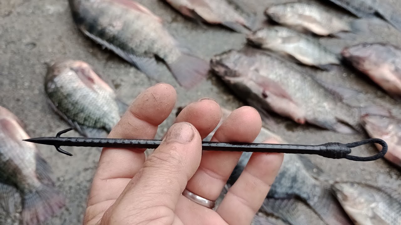 Primeira pesca com a seta de duas fisgas