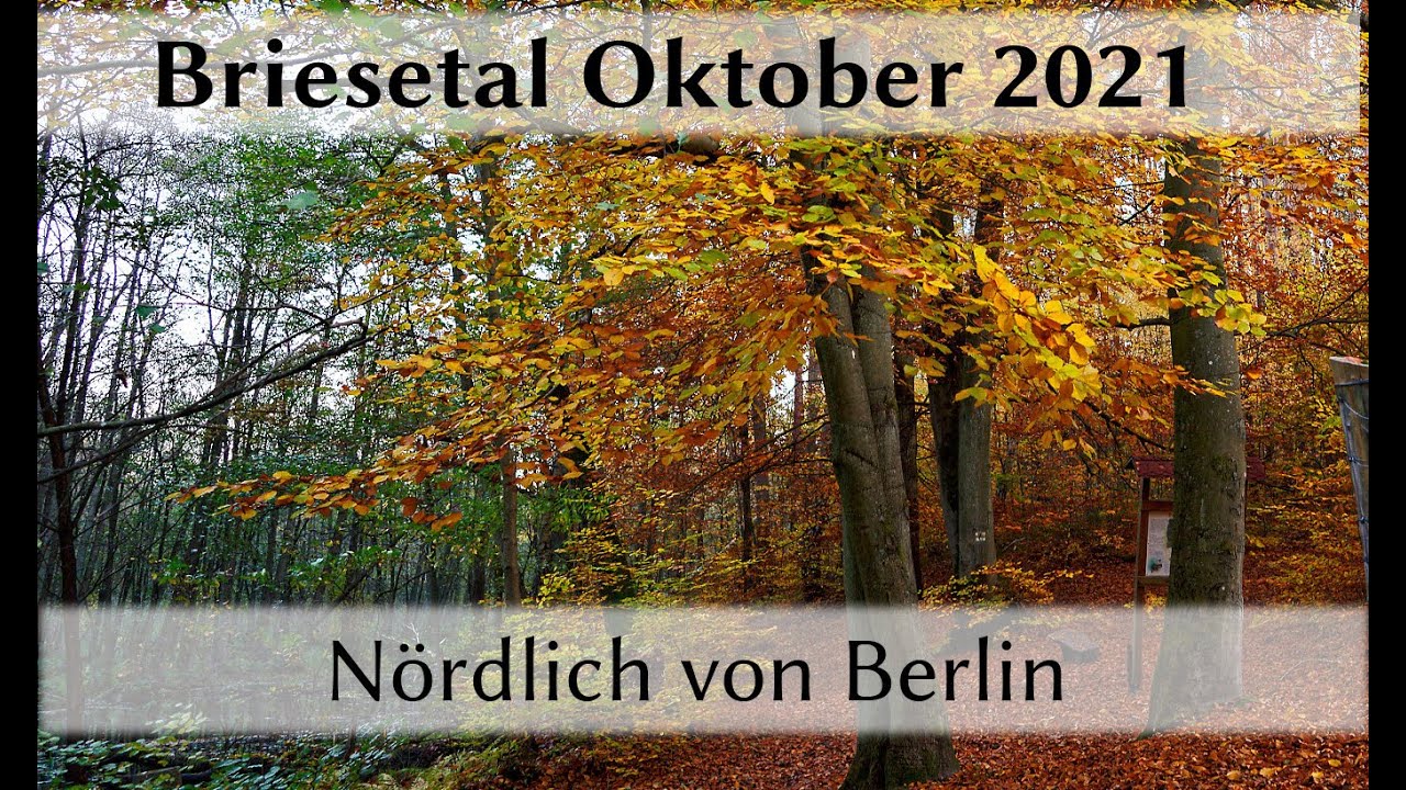 Briesetal nördlich von Berlin - Oktober 2021 [4K]