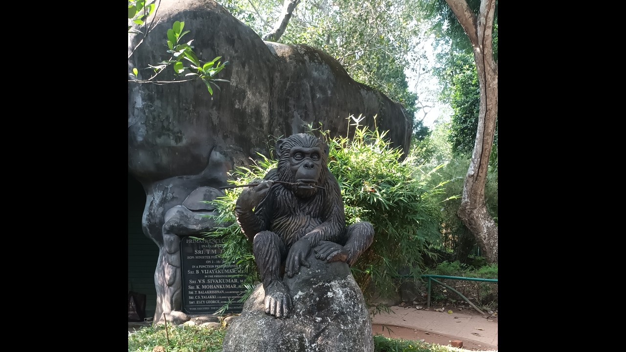 🌿🏍️ Bike Trip to Tiruvananthapuram Zoo | Wildlife Adventure in Kerala 🐅🦜