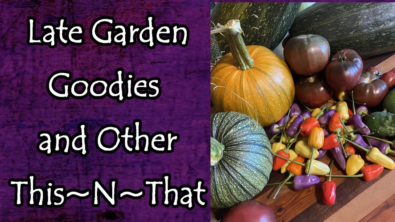 Late Garden Goodies and Other This~N~That