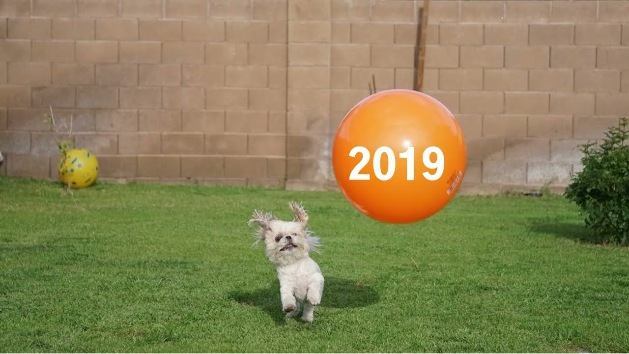 Mini Me Part Eight - 2019