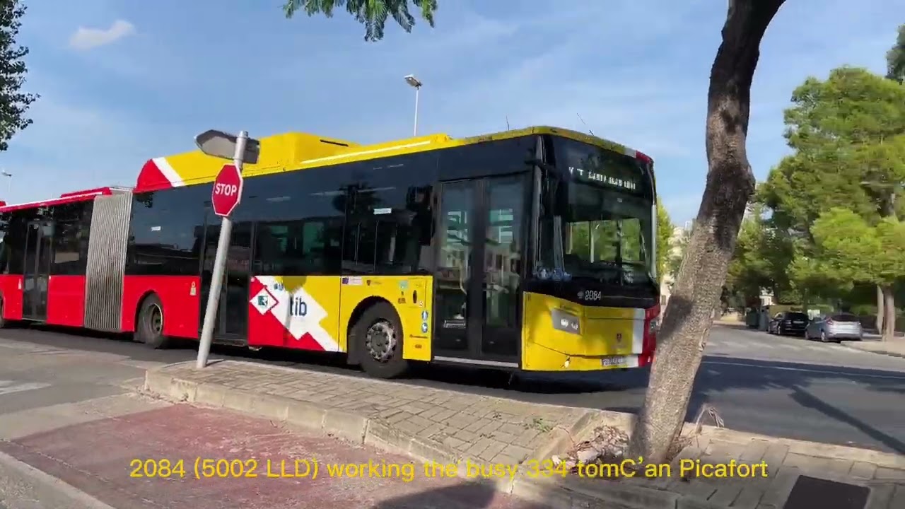 053 Holiday Buses in Alcúdia, Mallorca, 2022
