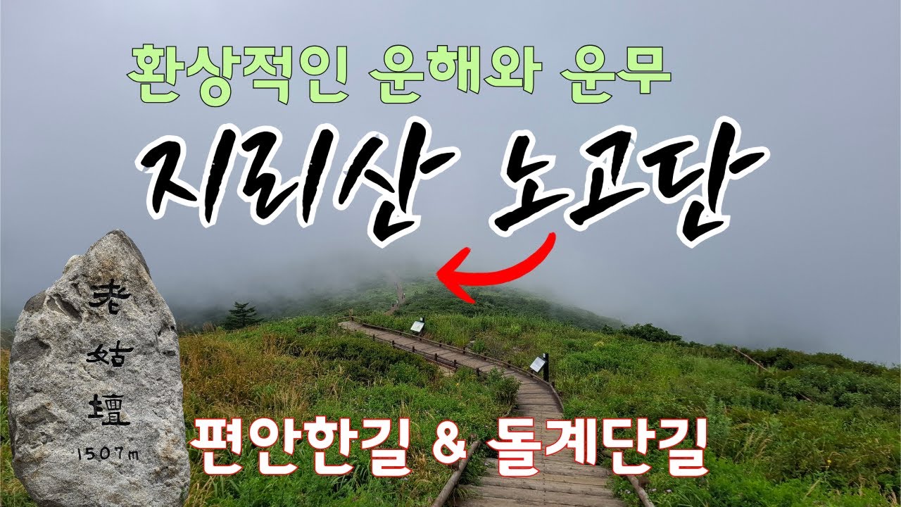 지리산 노고단, 황홀한 운해와 운무, 편한길 등산 돌계단길 하산 #지리산주변가볼만한 곳 - '25년 #53