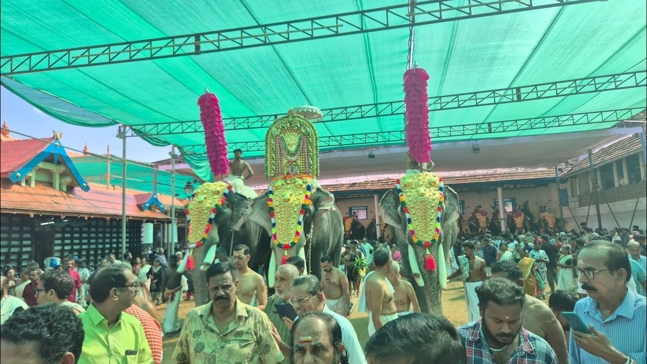 വൃശ്ചികോത്സവം 2025 -  ‌ഭഗവാന്റെ തിടമ്പേറ്റി തിരുവമ്പാടി ചന്ദ്രശേഖരൻ I മേളം ശ്രീ തിരുവല്ല രാധാകൃഷ്ണൻ