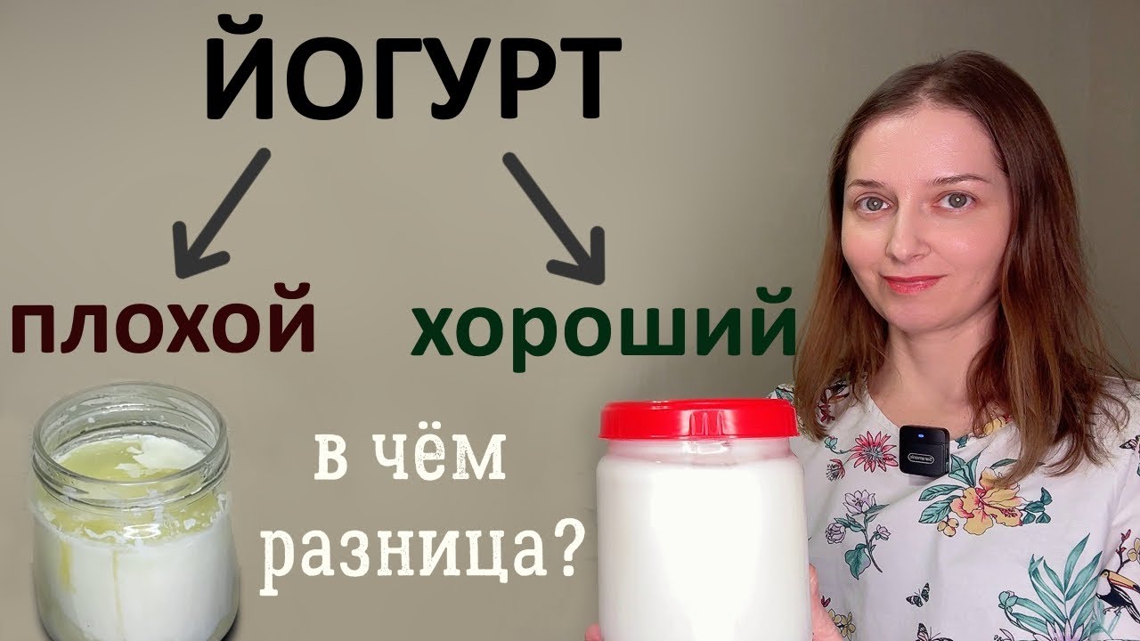 Как приготовить качественный йогурт?  Лактобактерии, броуновское движение, микроскопия...