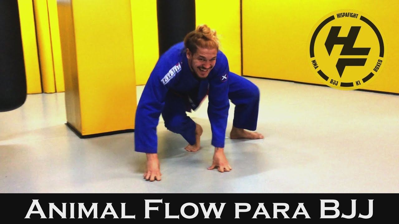 BJJ 🥋 | Animal Flow para Jiu Jitsu - ¡Especial 10K Suscriptores!