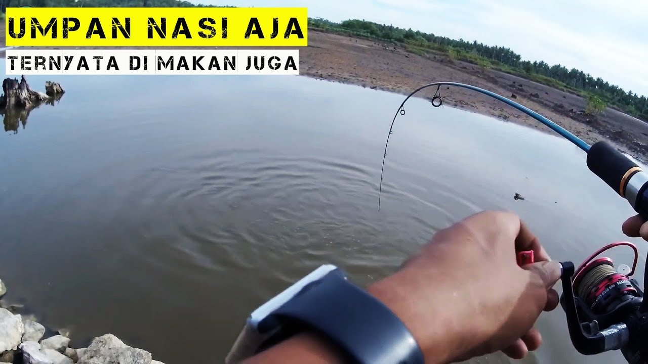 Mancing ikan Bandeng