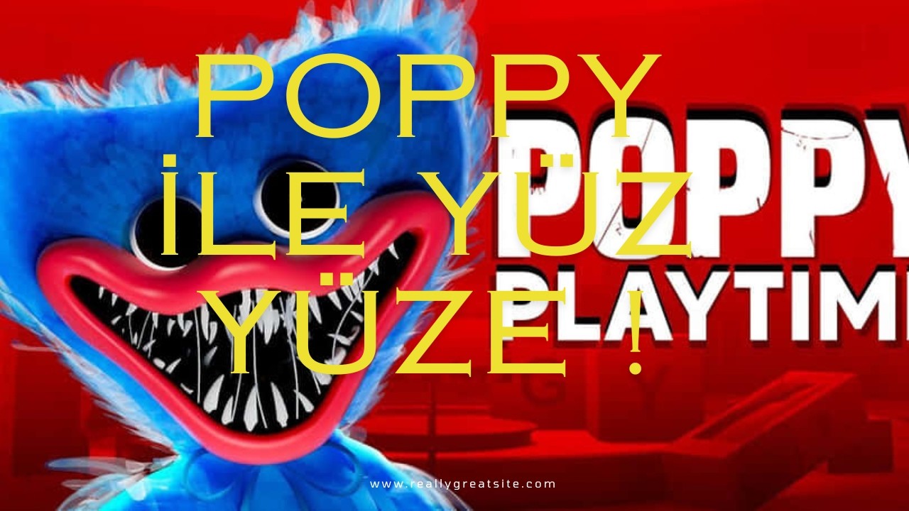 Poppy ile Yüz Yüze Geldim... Kaçamadım! 😨