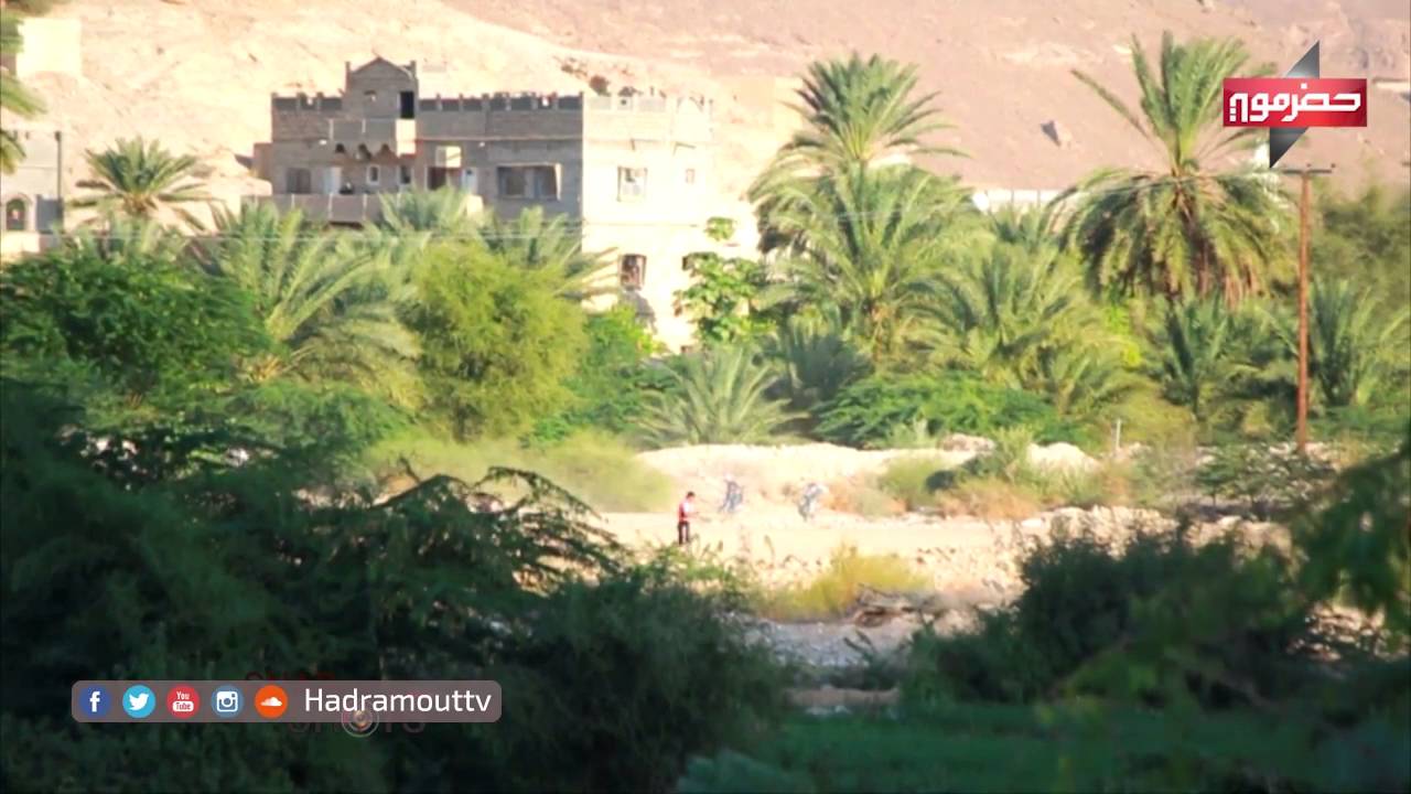ساه.. منطقة إقتصادية طيلة حياتها.. تعرف عليها أكثر في #هذه_بلدتي