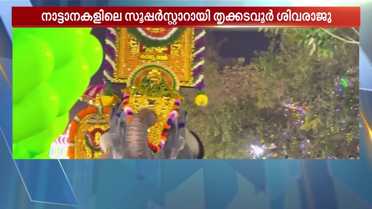 തെച്ചിക്കോട്ടുകാവ് രാമചന്ദ്രനെ കടത്തിവെട്ടി തൃക്കടവൂർ ശിവരാജു;ലേലത്തിൽ റെക്കോർഡ് തുക | Elephant