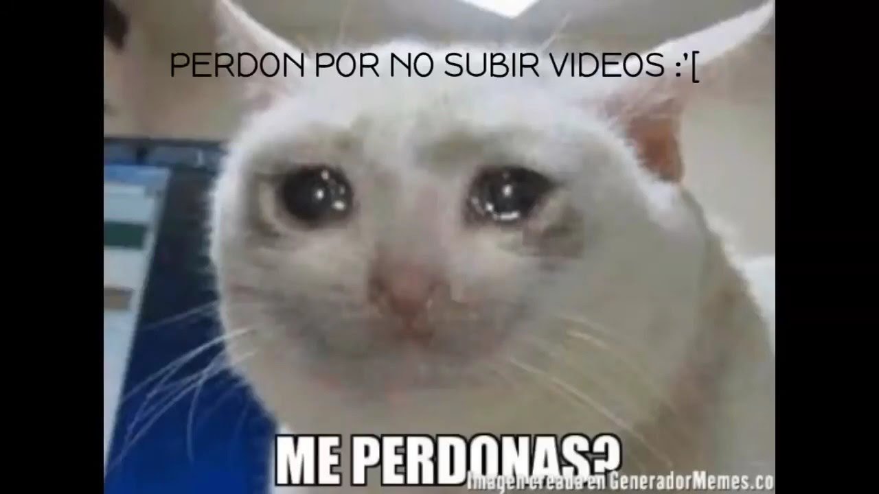 HORA XD
