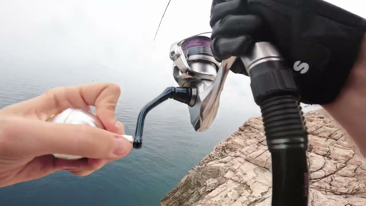 Shore Jigging Dubrovnik - Amberjack