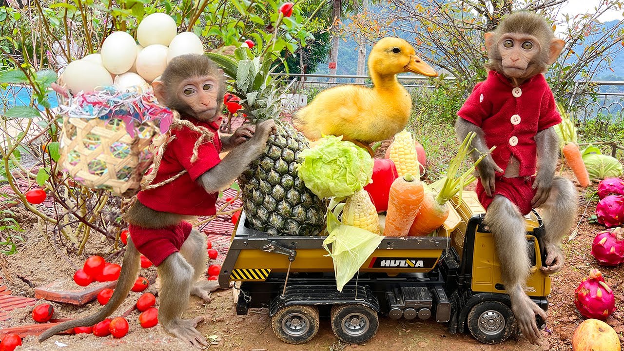 Непослушный Бим собирает фрукты и делает гамбургер