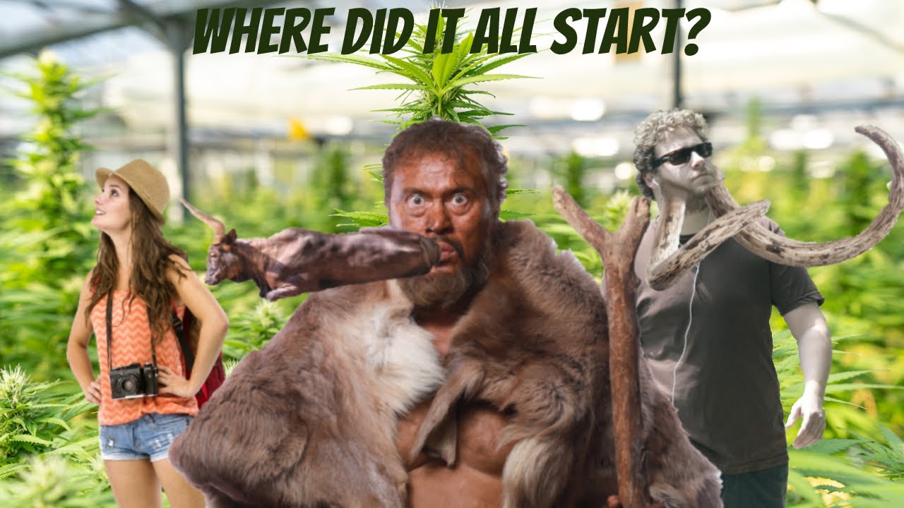 Vices: A History of Cannabis (Part 1)