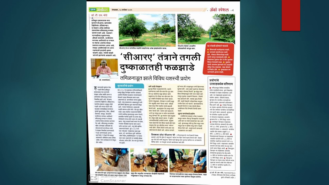 Marathi News