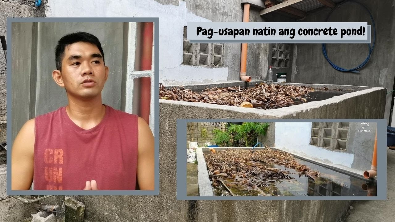 Vlog #04: Concrete pond