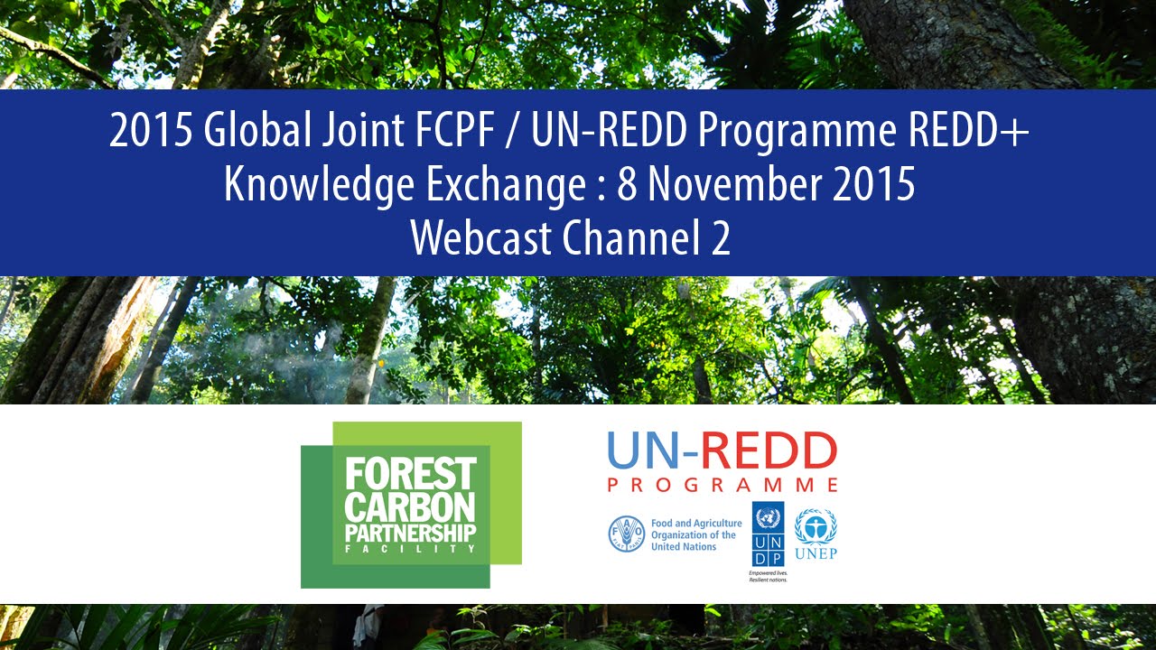 Joint FCPF/UN-REDD Programme Knowledge Exchange -- channel 2