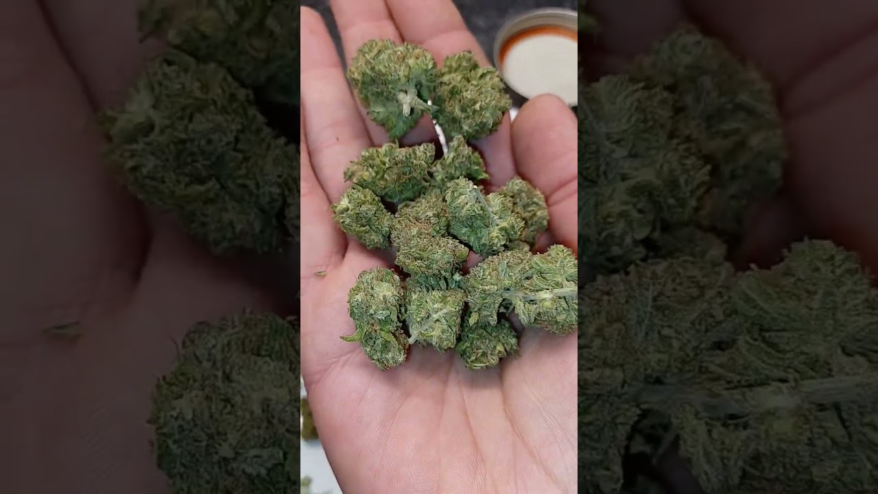 Mr. Nice Guy, &lrm;@AreteHemp&nbsp;(is it good?)