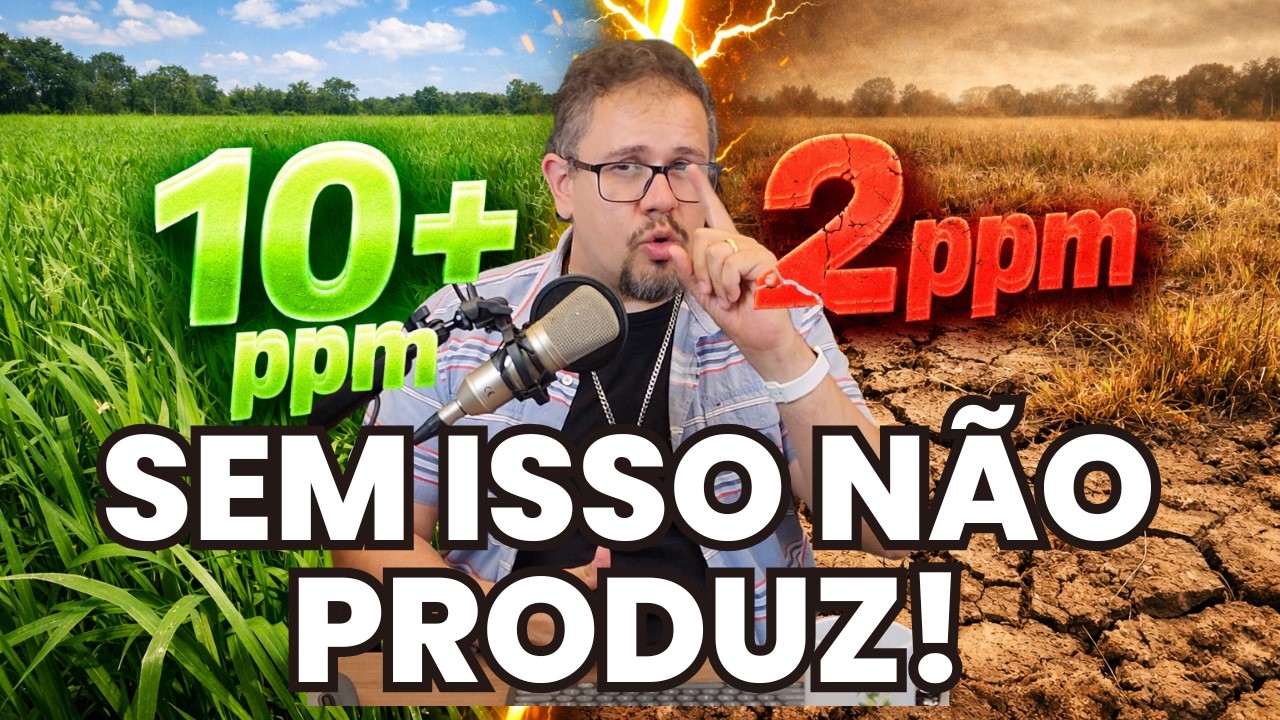 ANÁLISE DE SOLO para pastagem: o primeiro passo para um pasto PRODUTIVO E LUCRATIVO