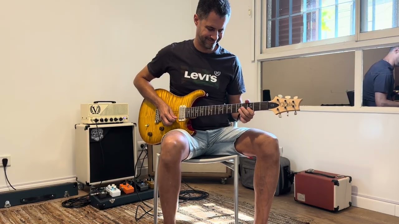 PRS CE22 Limited Edition DEMO (1)