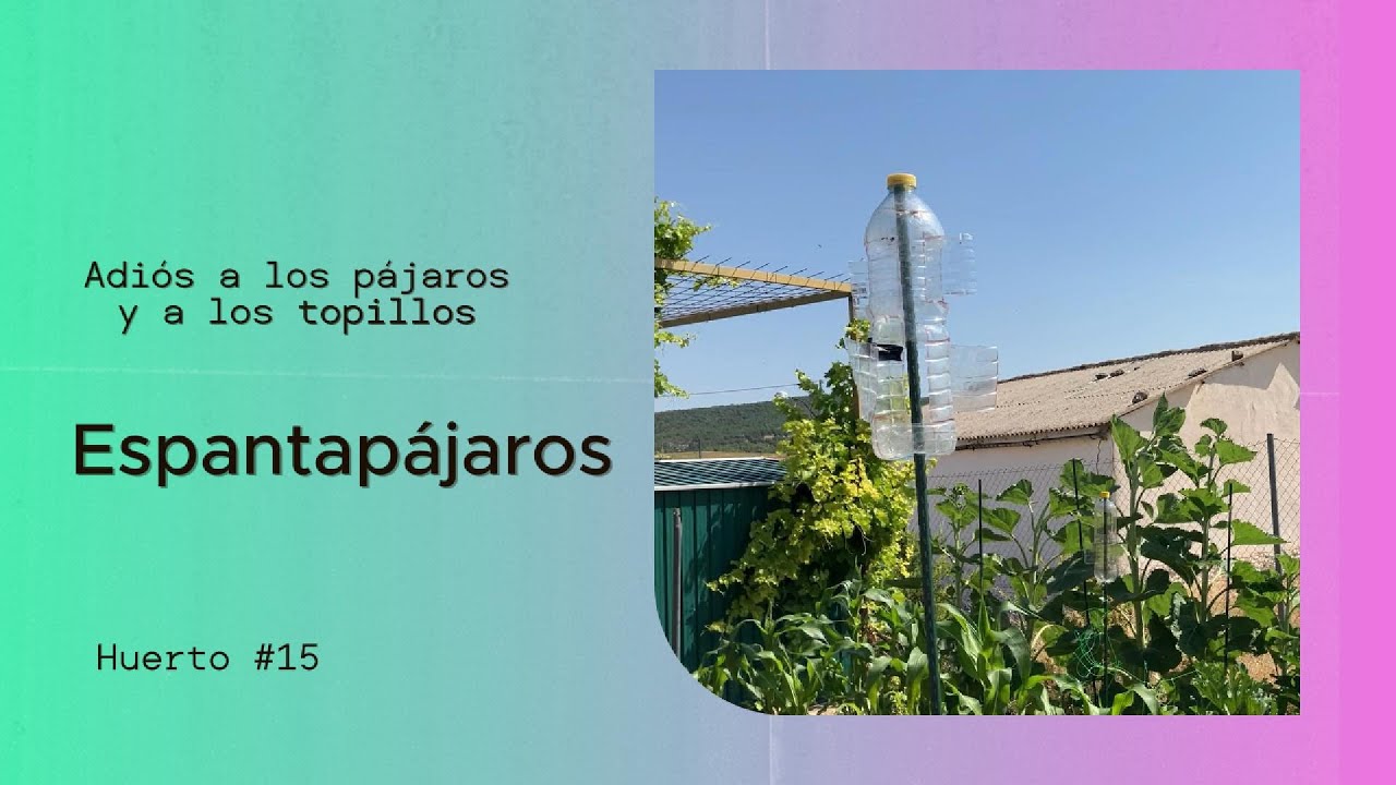 Espantapájaros Casero y Anti-Topillos: ¡Doble Función con una Botella de Plástico!