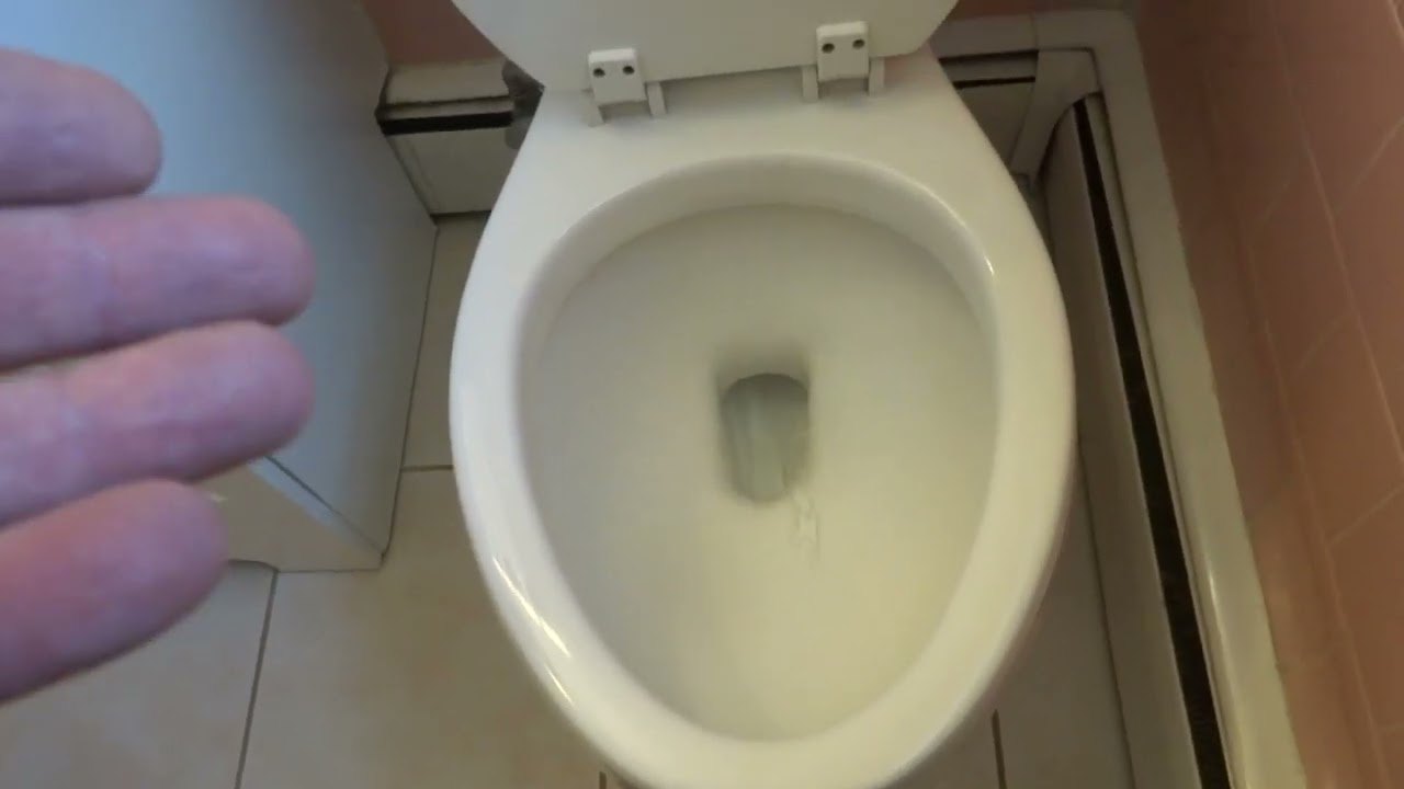 OLD LADY COMPLAINING OF A PERFECTLY FLUSHING TOILET