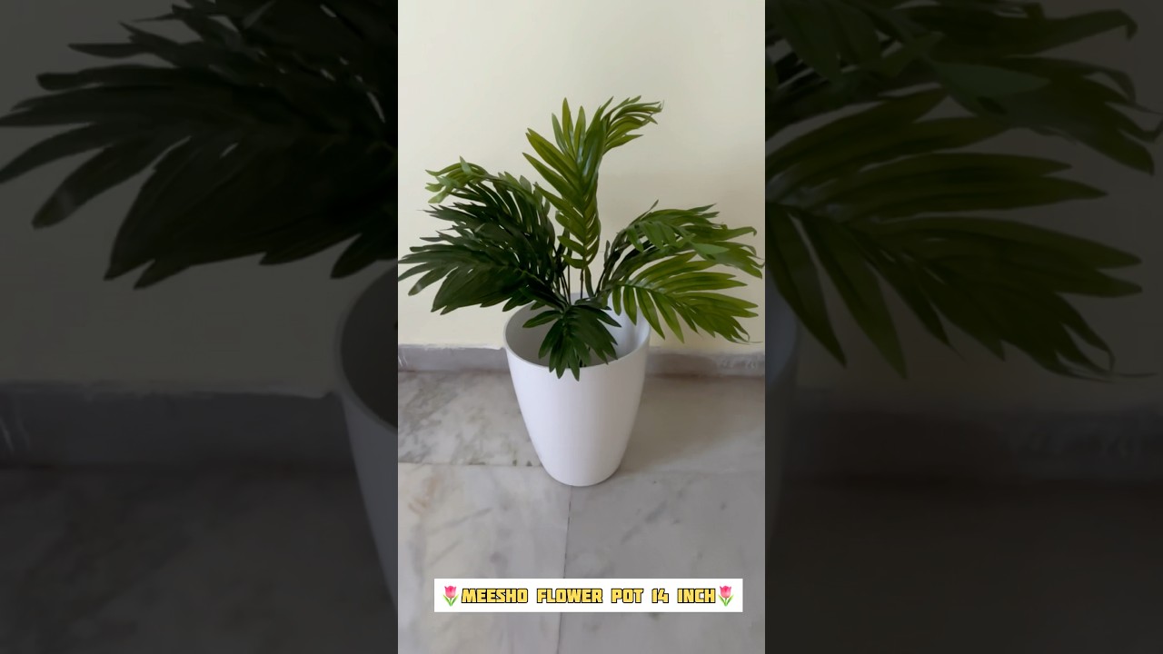 Meesho 14inch flower pot&hellip;||#meesho#find#viralvideo#virlshorts#flowerpot#meesho#homedecor#kolkata