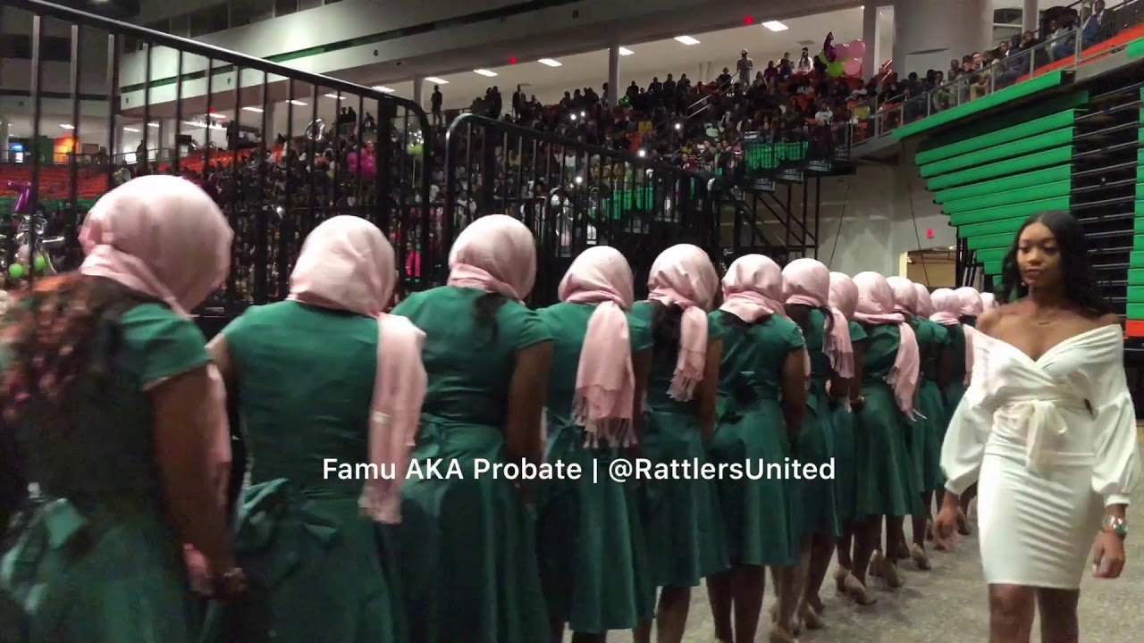 Alpha Kappa Alpha Sorority Inc. Fall 2019