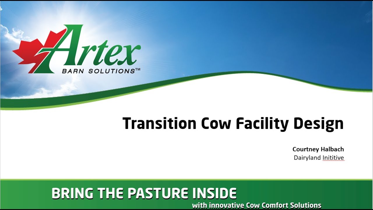 Transition Cows Facility Design