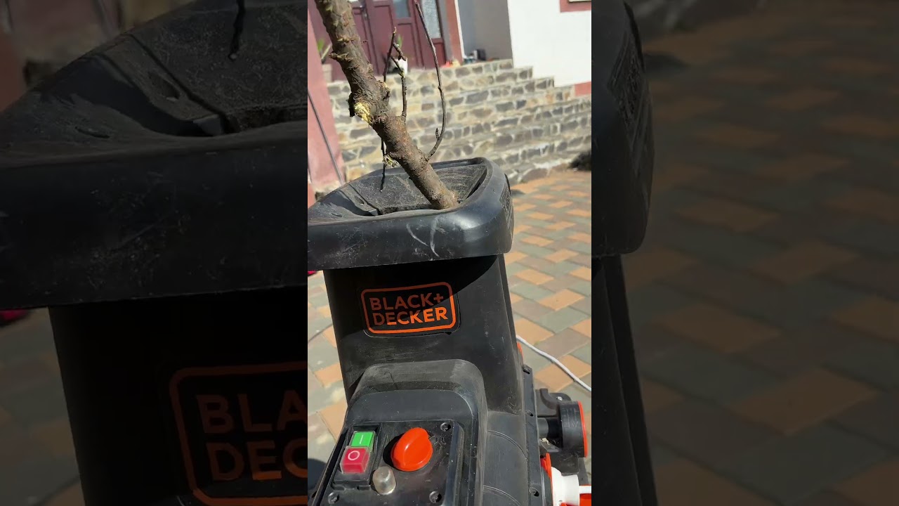Curățenia de primăvară &icirc;n grădină!