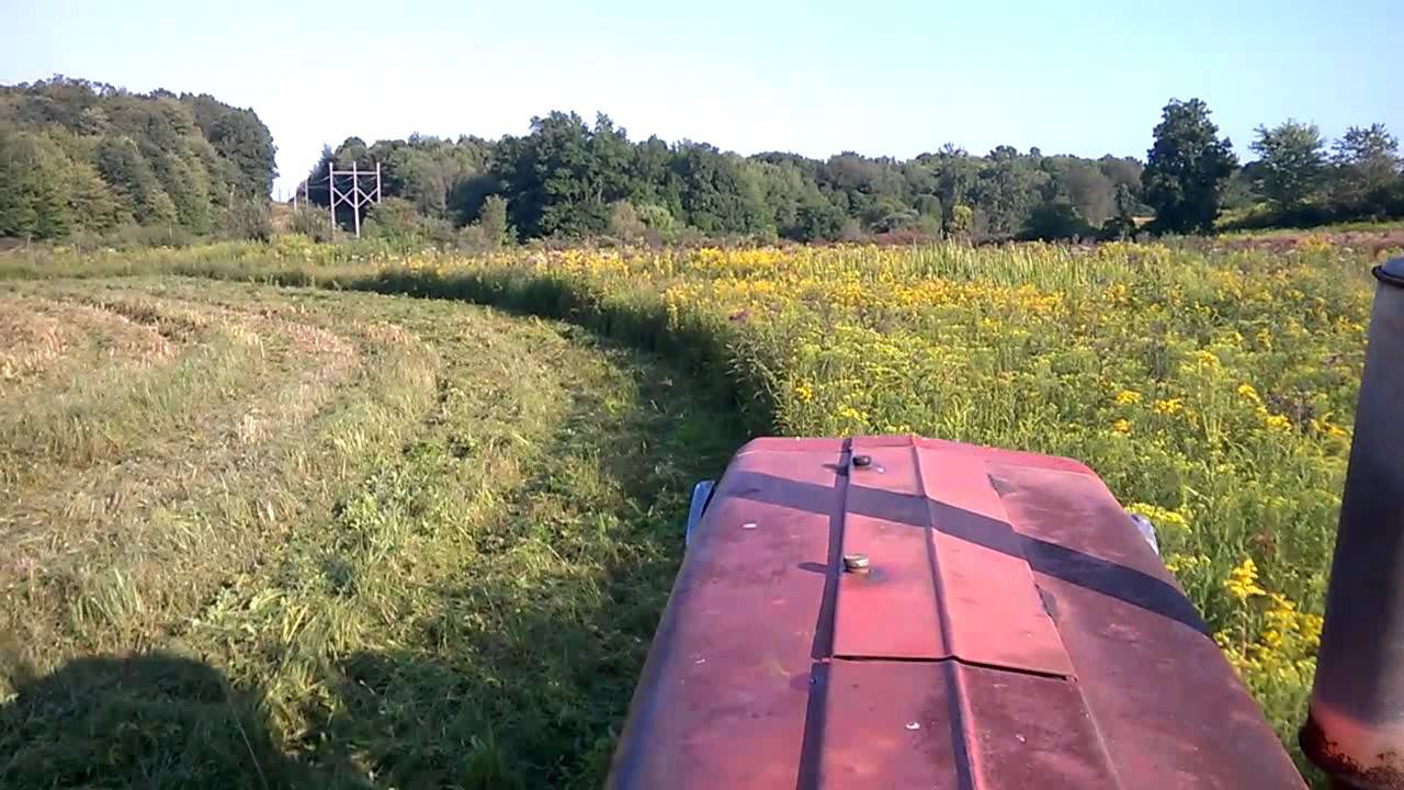 MF165 Brush Hogging the pasture