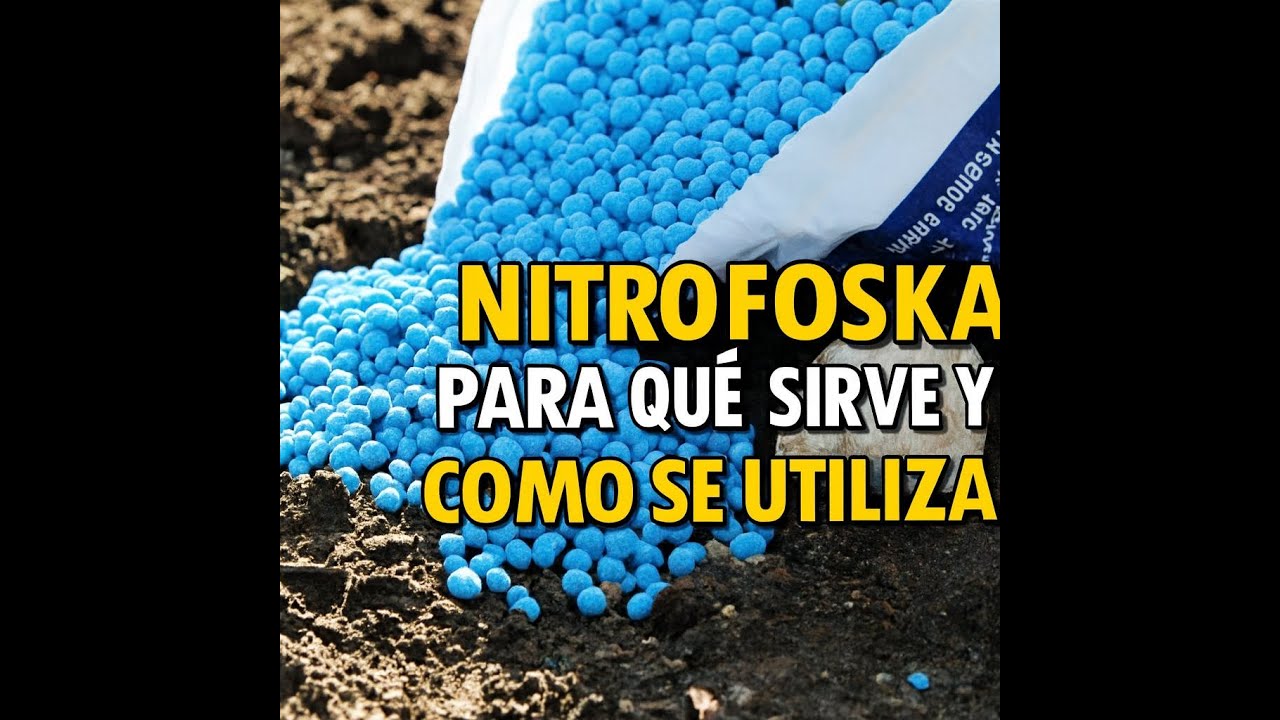 NITROFOSKA-La Guía Que Nadie Explica Bien… Hasta Hoy