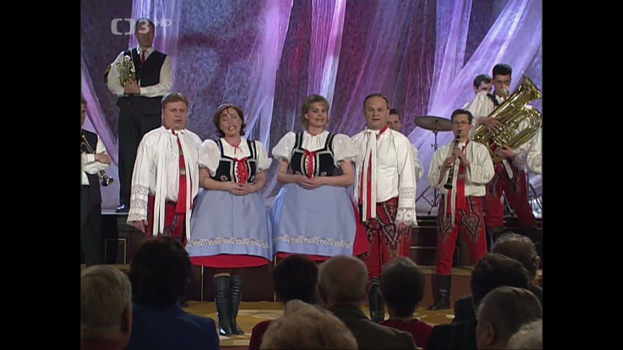 Vyhrávala kapela - DH Bojané & Plechová kapela (2005)
