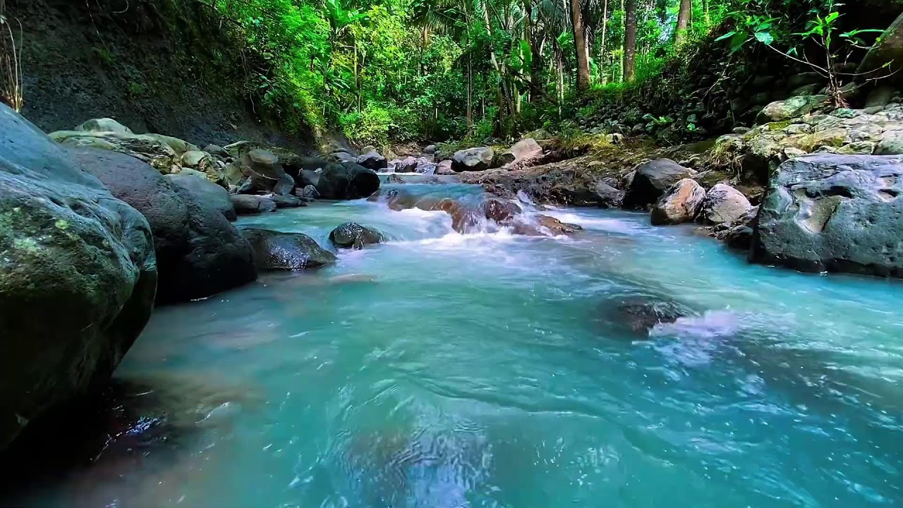 Flowing Mountain Stream Water Audio, Forest River, Sleep
