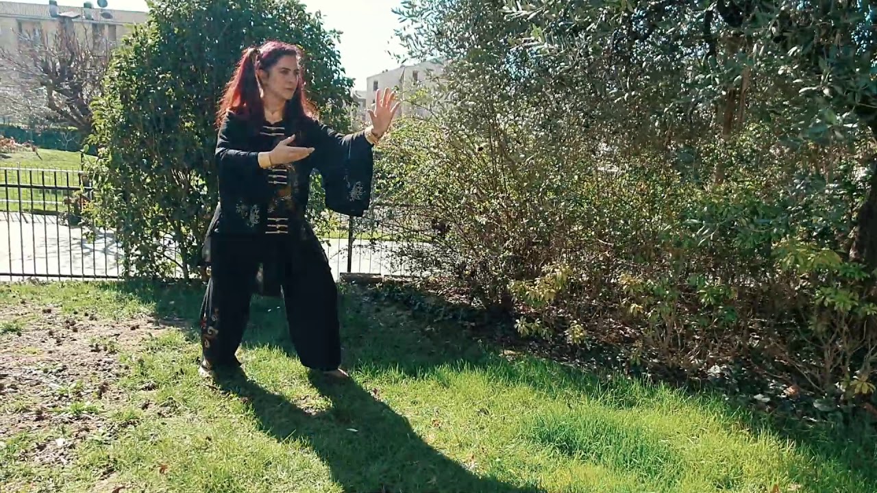 Tai Chi Chuan Ti Ehr Lu - Forma Yang 108
