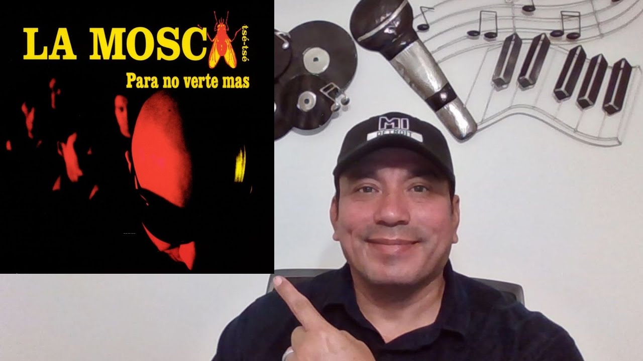 LA MOSCA   PARA NO VERTE MAS reaccion  reaction