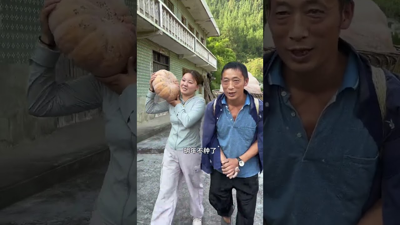 农村家家户户都是庄稼多，这金刚炮是真能装，这么多南瓜冬瓜半天就收回家@长城炮 @长城皮卡 金刚炮 #10万元级8AT自动档皮卡 #中国农民丰收节 #美好中国丰收节