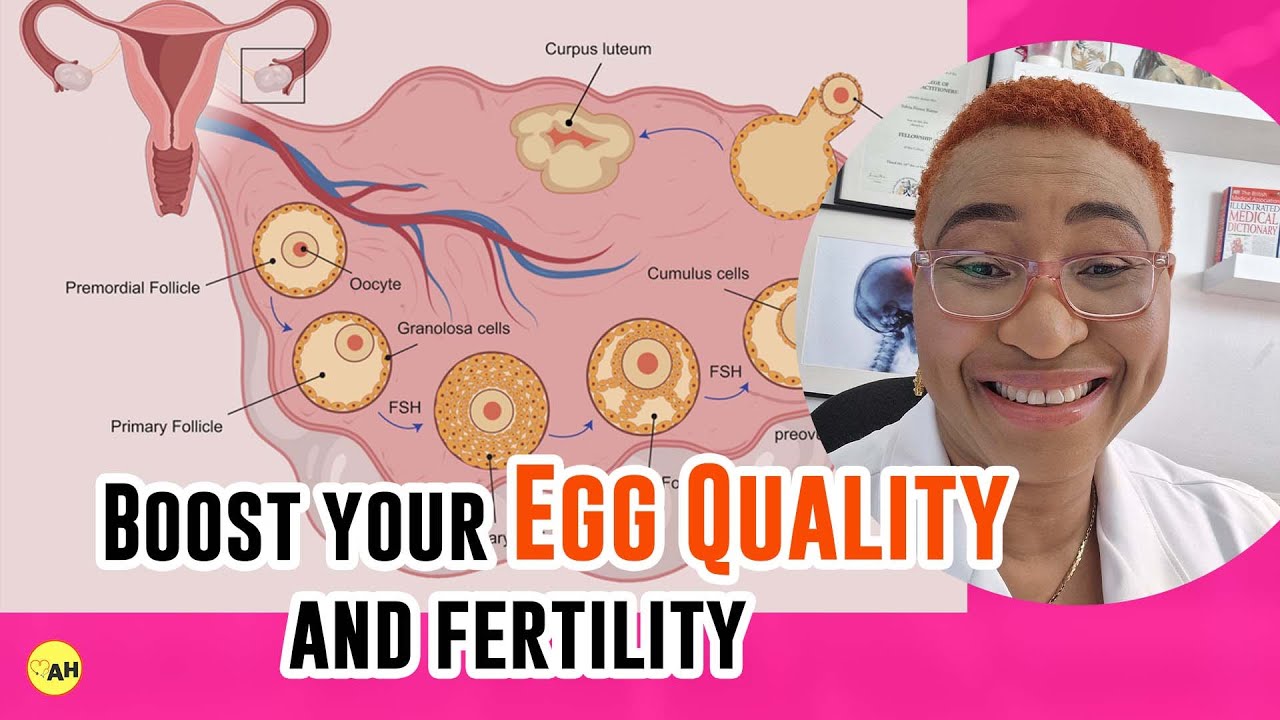 Как повысить качество яйцеклеток 🤰🏾