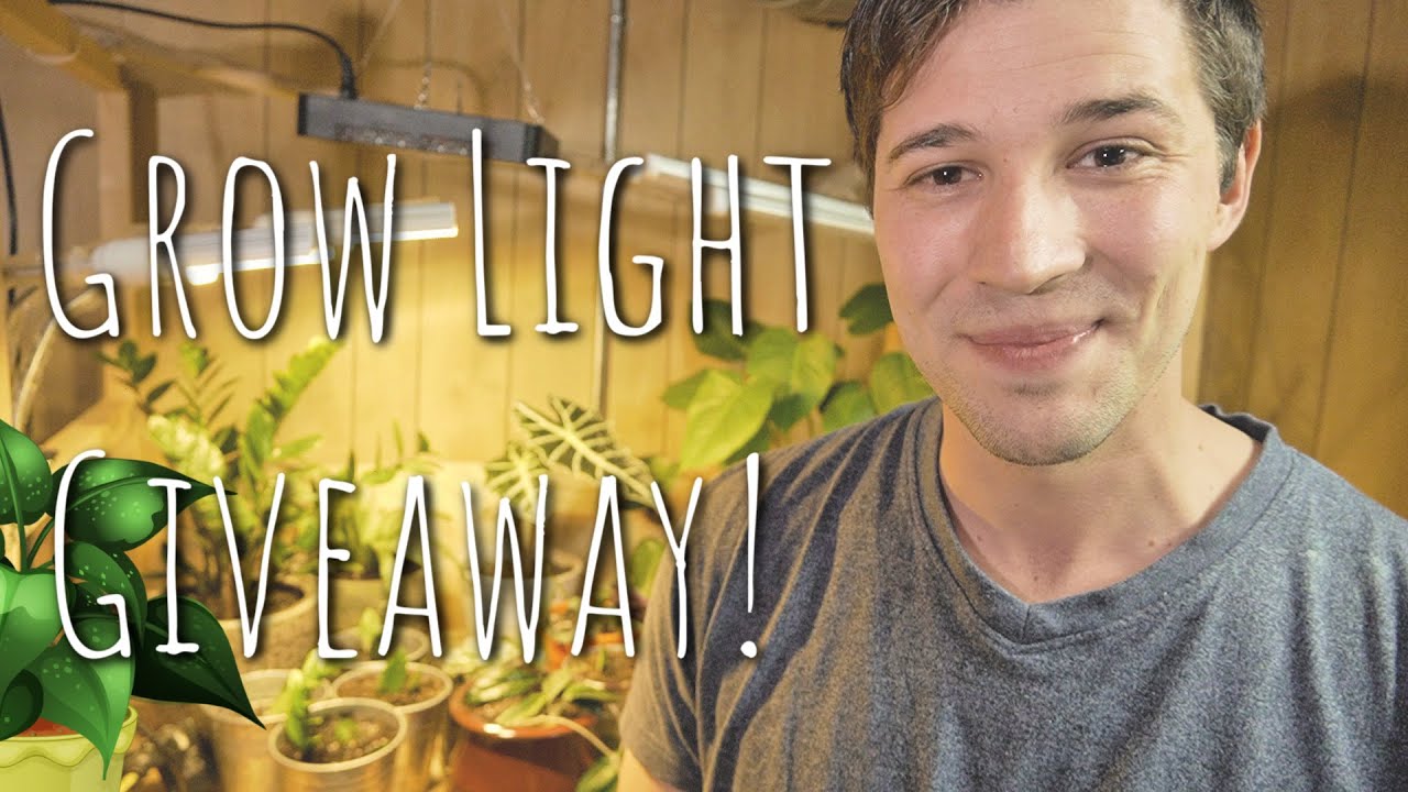 Houseplant Grow Light Giveaway | MrHua 68W Full Spectrum LED Light!