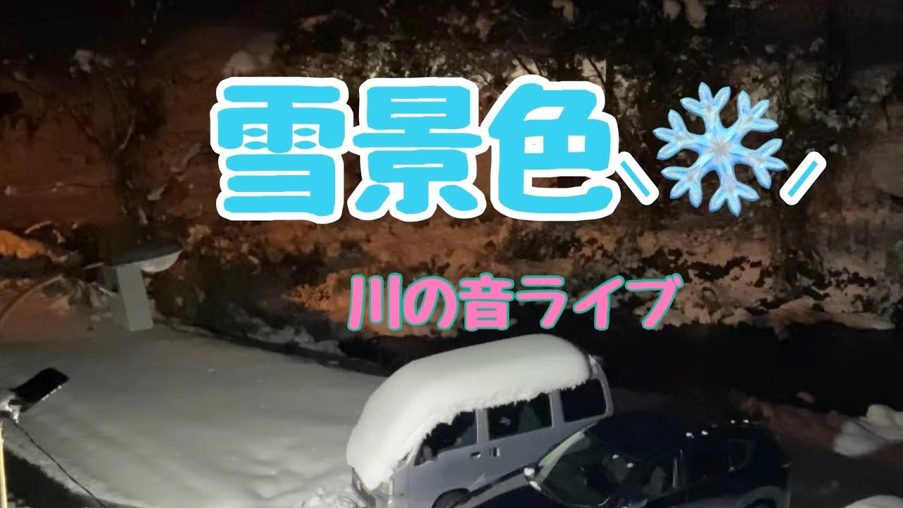 雪景色⸜❄️⸝川の音ライブ⛄️2026.1.10㈯雪降るみたいパート1
