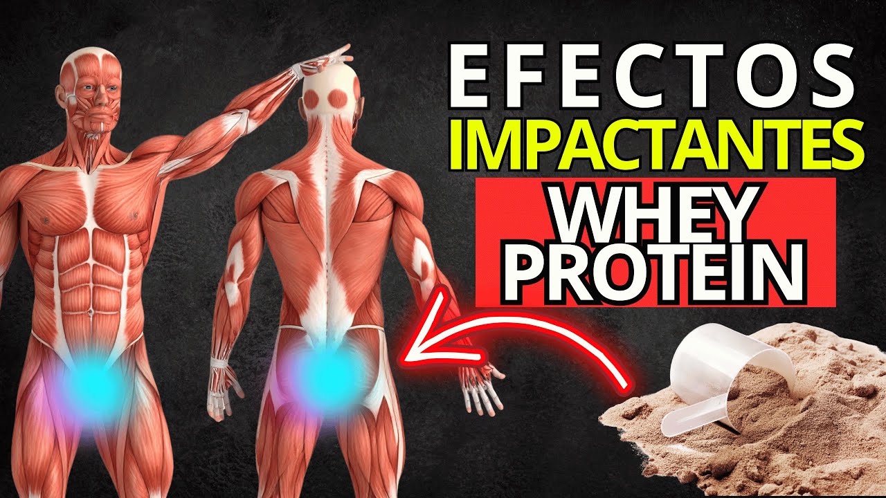 10 Cambios que Ocurren en tu Cuerpo Cuando Tomas Whey Protein Todos los Días