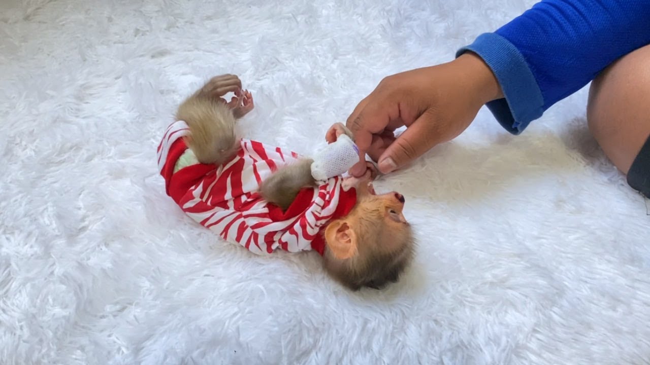 Po0rBabi Can't Up Herself, The First Action That Father Teach For Nbrn To Stronqqe