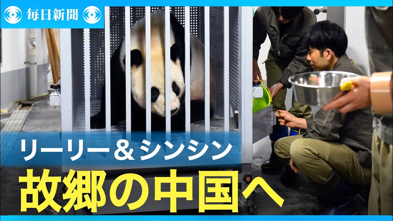 ありがとう、リーリーとシンシン　上野動物園のパンダ、中国へ出発