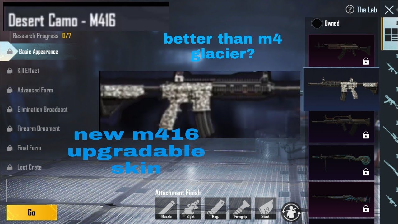 New m416 upgradable skin