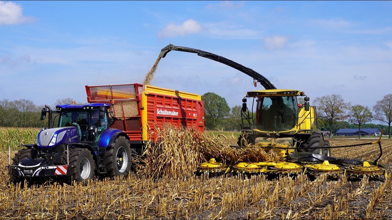 Mais 2025 | New Holland FR780(12 rows)+ T7.270 | Toonen Odiliapeel | Maishakselen | Mais silage