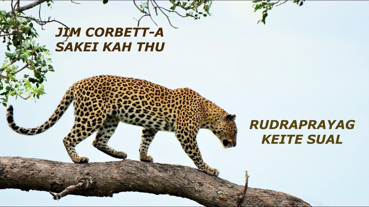 Rudraprayag Keite Sual - I  (Jim Corbett a Sakei Kah Thu - Letlingtu : F. Chhawnmanga)