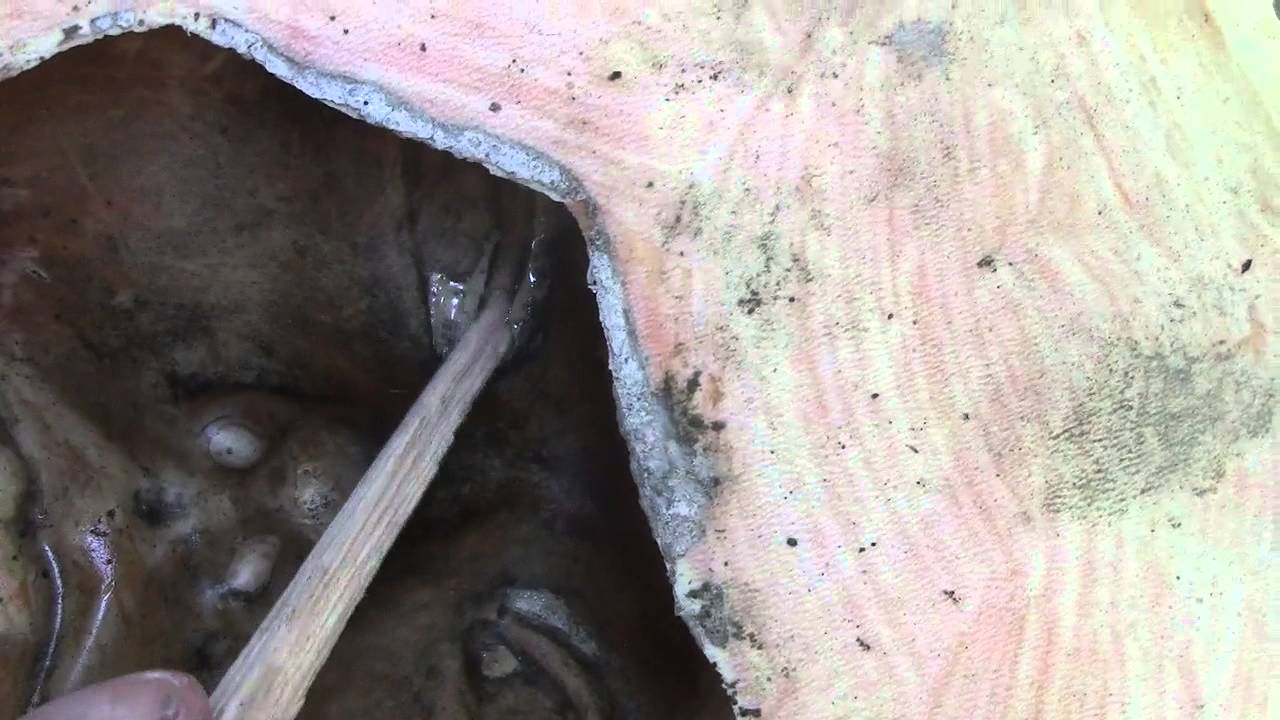 diymolds.com-Latex Concrete Mold Turning Sticky Failing