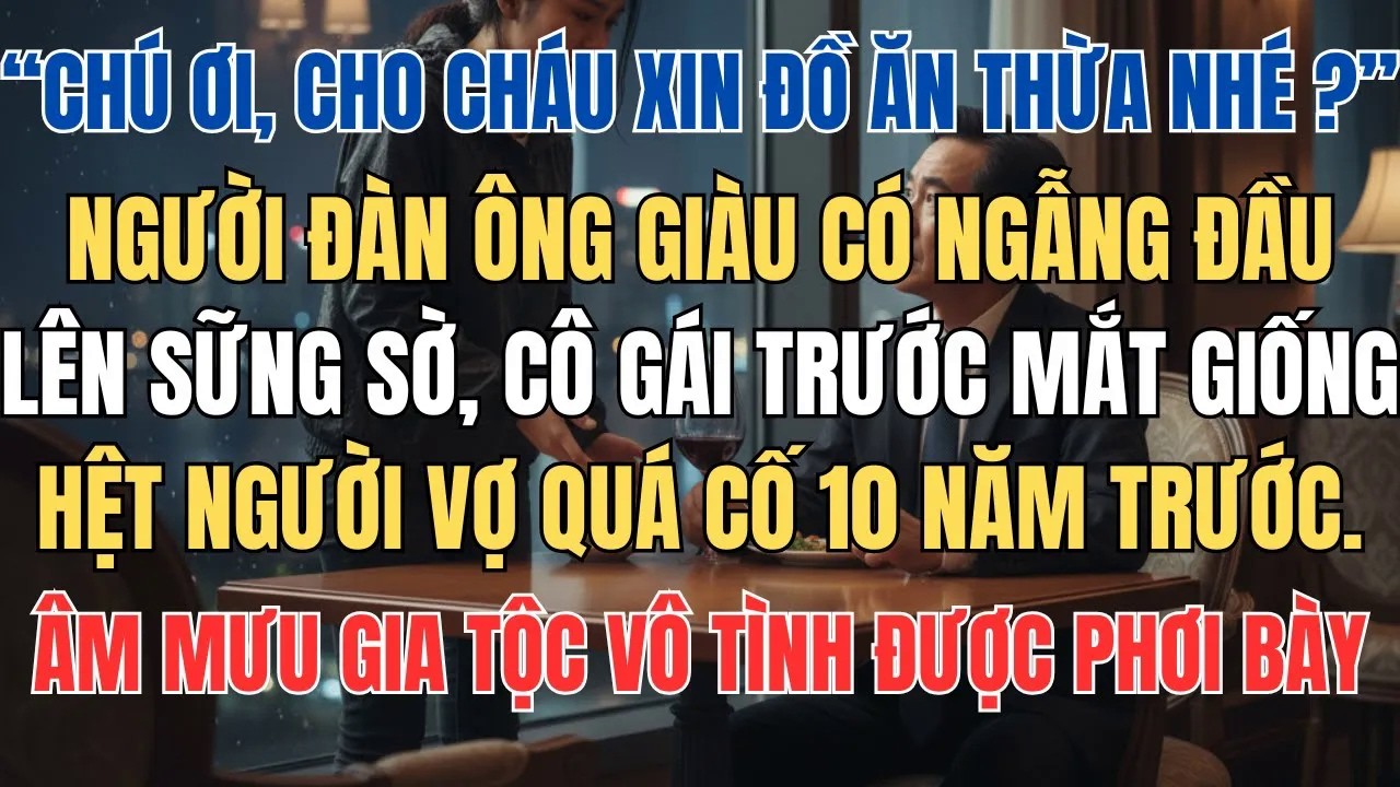 Người Đàn Ông Sững Sờ Khi Thấy Cô Gái Xin Đồ Ăn Thừa Giống Hệt Người Vợ Quá Cố 10 Năm Trước