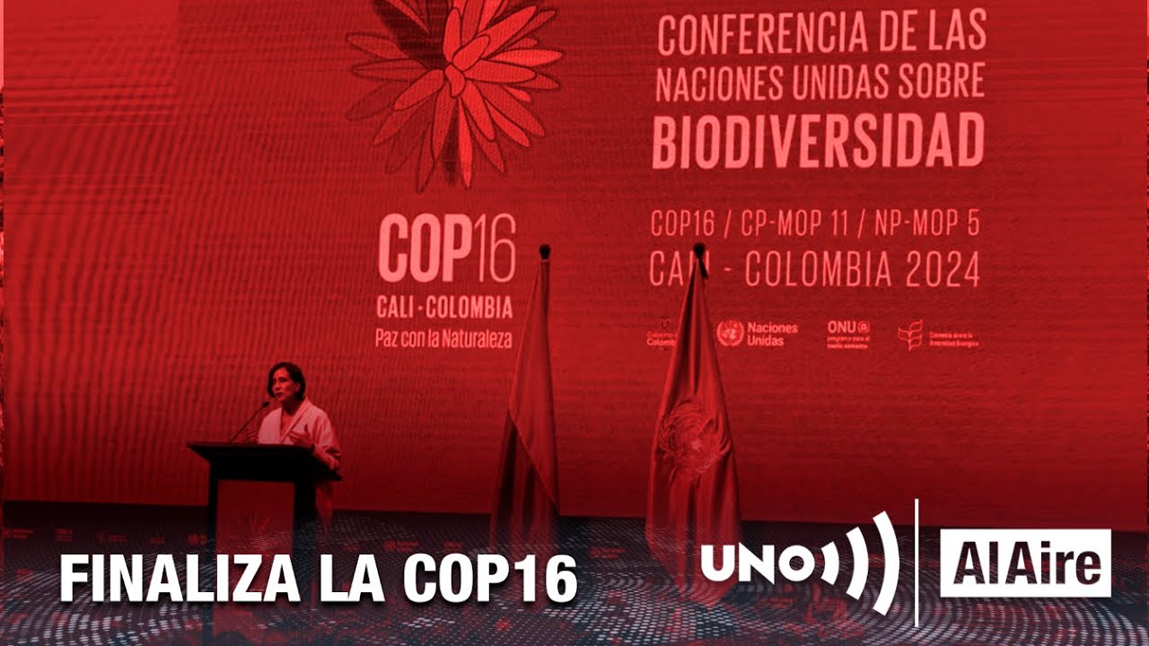 Cali Biodiversa en la COP16 | Noticias UNO