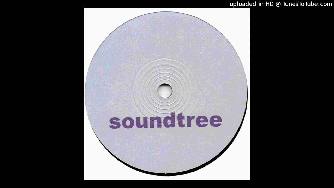 Soundtree - Disturbed (33rpm)